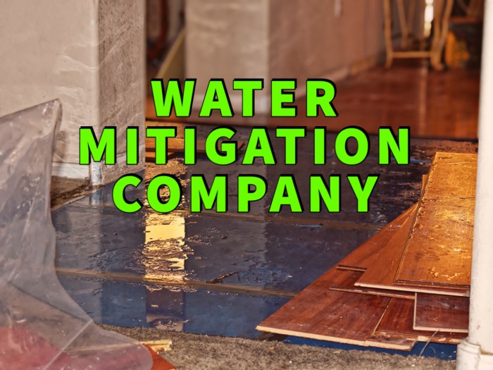 Choosing the Right Water Mitigation Company: Factors to Consider ...